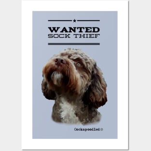 Cockapoo / Doodle Dog Sock Thief Posters and Art